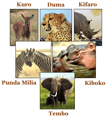 Don Lino Africa Vitola Name Animals