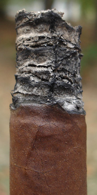 Don Lino Africa Duma - Dark Ash