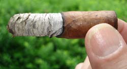 Lucky7's Delicias Natural Nub