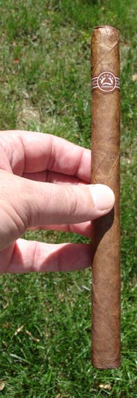 Padron Series Magnum - One Mamoth Cigar