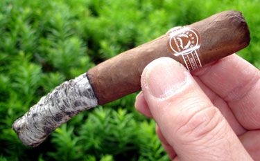 Lucky7's 3000 Natural - 1st Ash