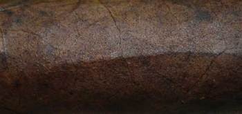 5000 Maduro - Wrapper Grain