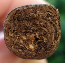 Ambassador Maduro Foot