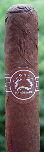 Ambassador Natural - Wrinkled Head