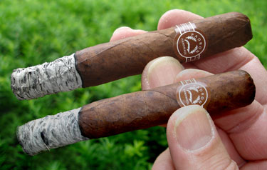 Lucky7's Delicias 1st Ash (Natural on top)