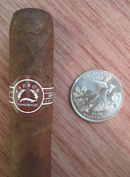 Executive Maduro with quarter for comparison