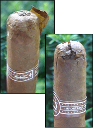 Lucky7's Executive Natural Cap Explosion