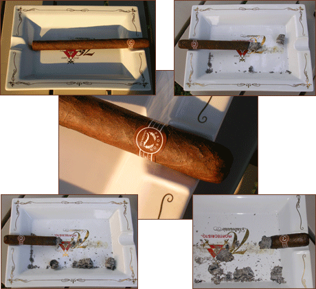 Walt's Magnum Maduro